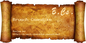 Brusch Csendike névjegykártya